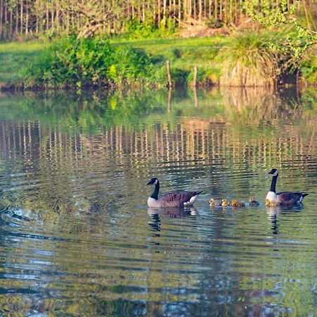 Beautiful Willow Lodge 67-4-6 Persons-Private Hot Tub-Pet Friendly-Tranquil Holiday Away From It All Yet Not Far To St Austell-The Holiday Home Has Two Bedrooms, Living & Dining Area, Equipped Kitchen -Decking-Al Fresco Dining-Fishing Lakes-Pet Frien Grampound Esterno foto