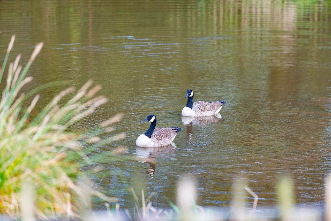 Beautiful Willow Lodge 67-4-6 Persons-Private Hot Tub-Pet Friendly-Tranquil Holiday Away From It All Yet Not Far To St Austell-The Holiday Home Has Two Bedrooms, Living & Dining Area, Equipped Kitchen -Decking-Al Fresco Dining-Fishing Lakes-Pet Frien Grampound Esterno foto